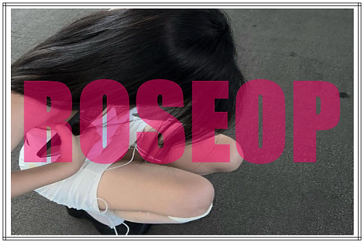 오피-OP-오피사이트-로즈오피-소개글